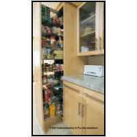 Hard white maple doors with 3/4 thick flat panels in frames. Stainless steel counters, ribbed glass doors, pantry pull out, low voltage halogen lighting